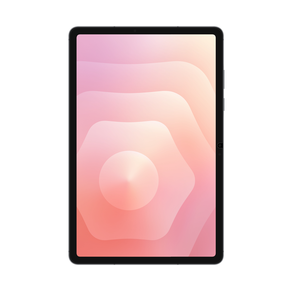 Samsung Anti-Reflecting Screen Protector für Tab S11