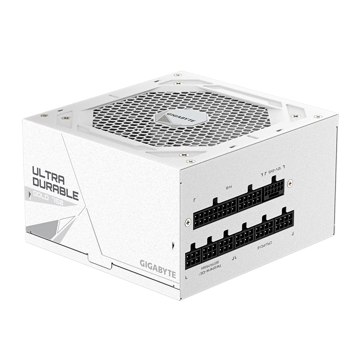 GigaByte UD750GM PG5 V2 ICE | PC-Netzteil