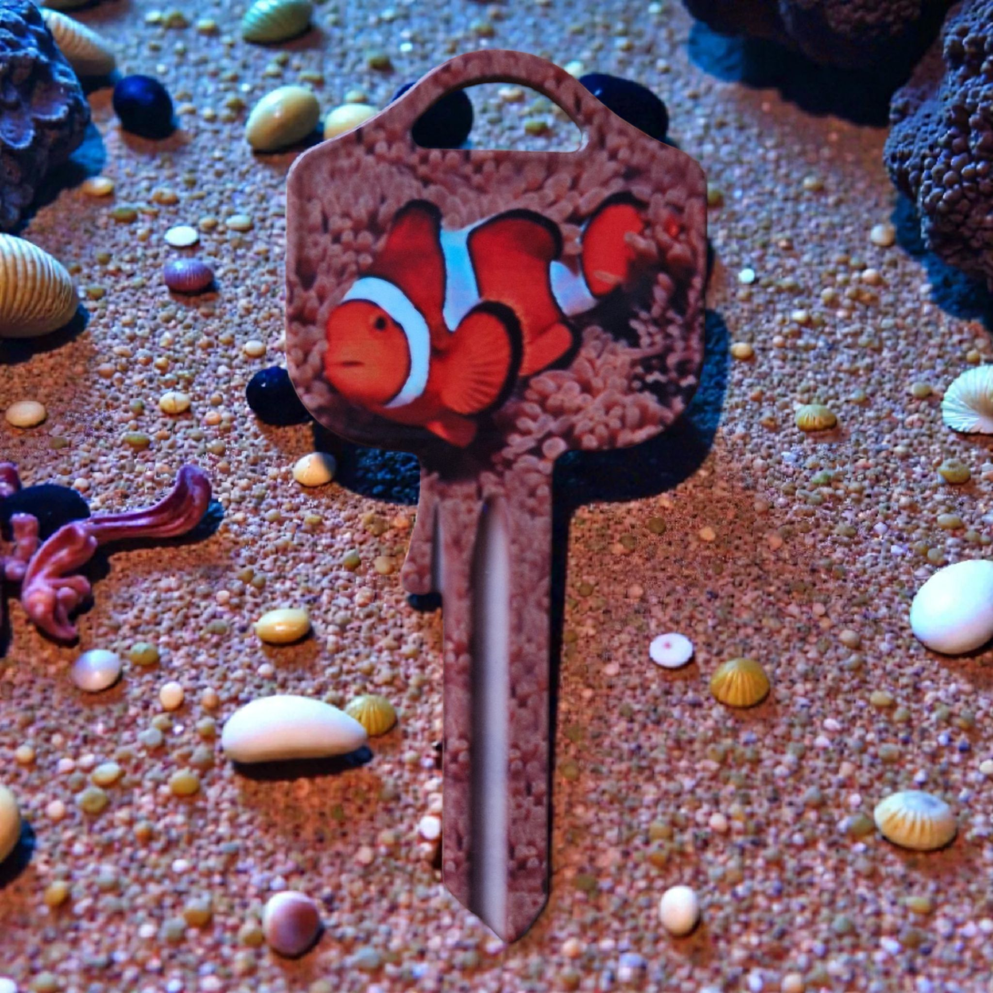 Schlüsselrohling „Clownfisch"