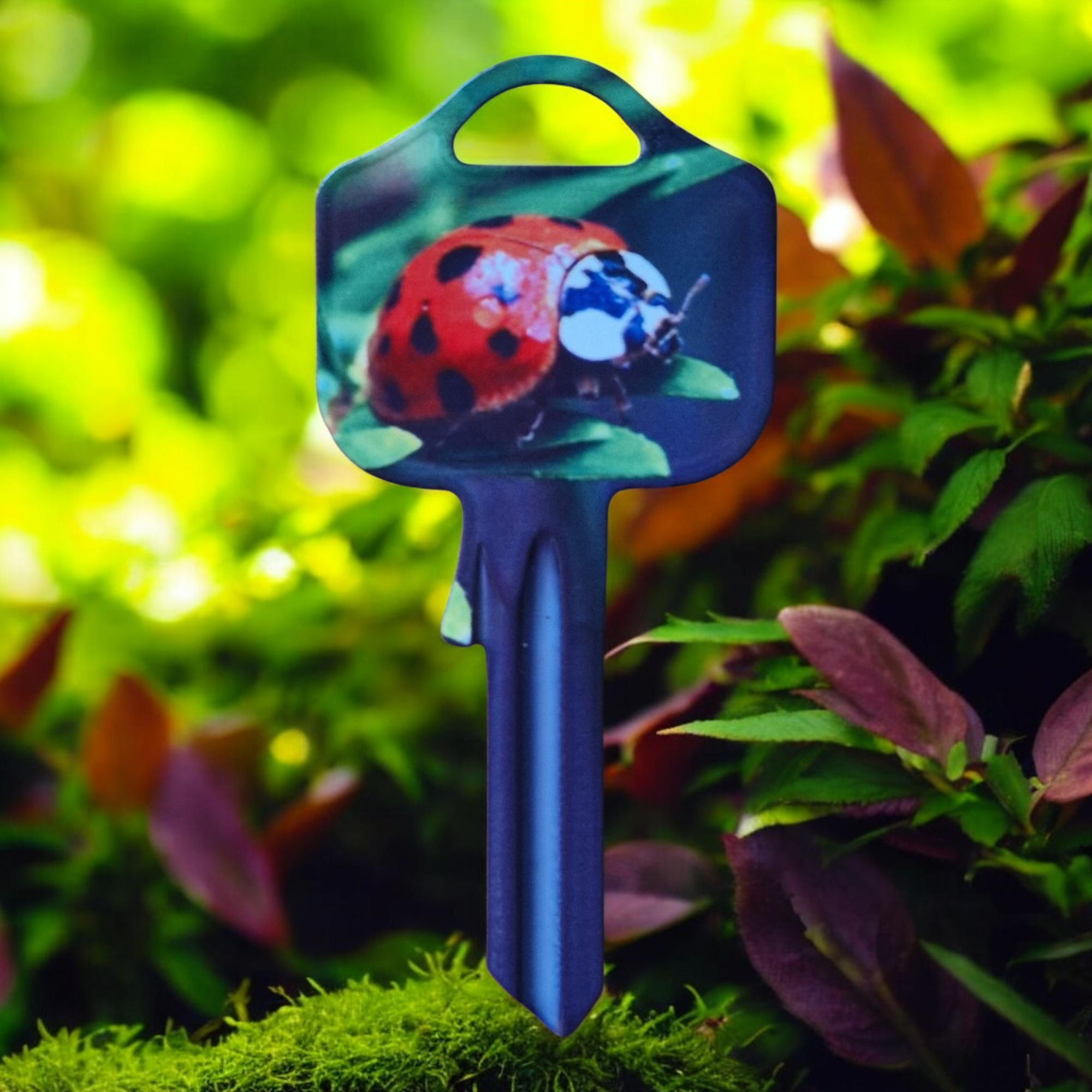 Schlüsselrohling „Marienkäfer“