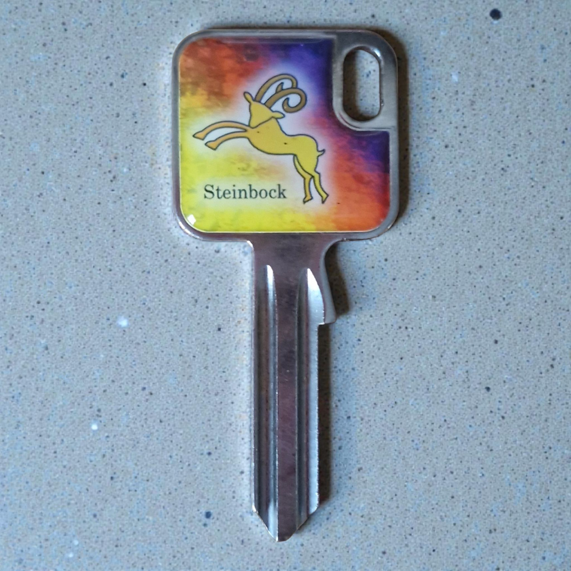 Schlüsselrohling „Sternzeichen Steinbock"