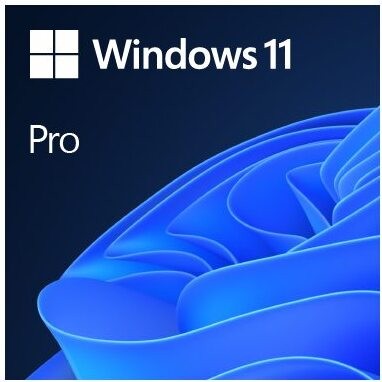 Microsoft Windows 11 Pro 64 Bit OEM SB