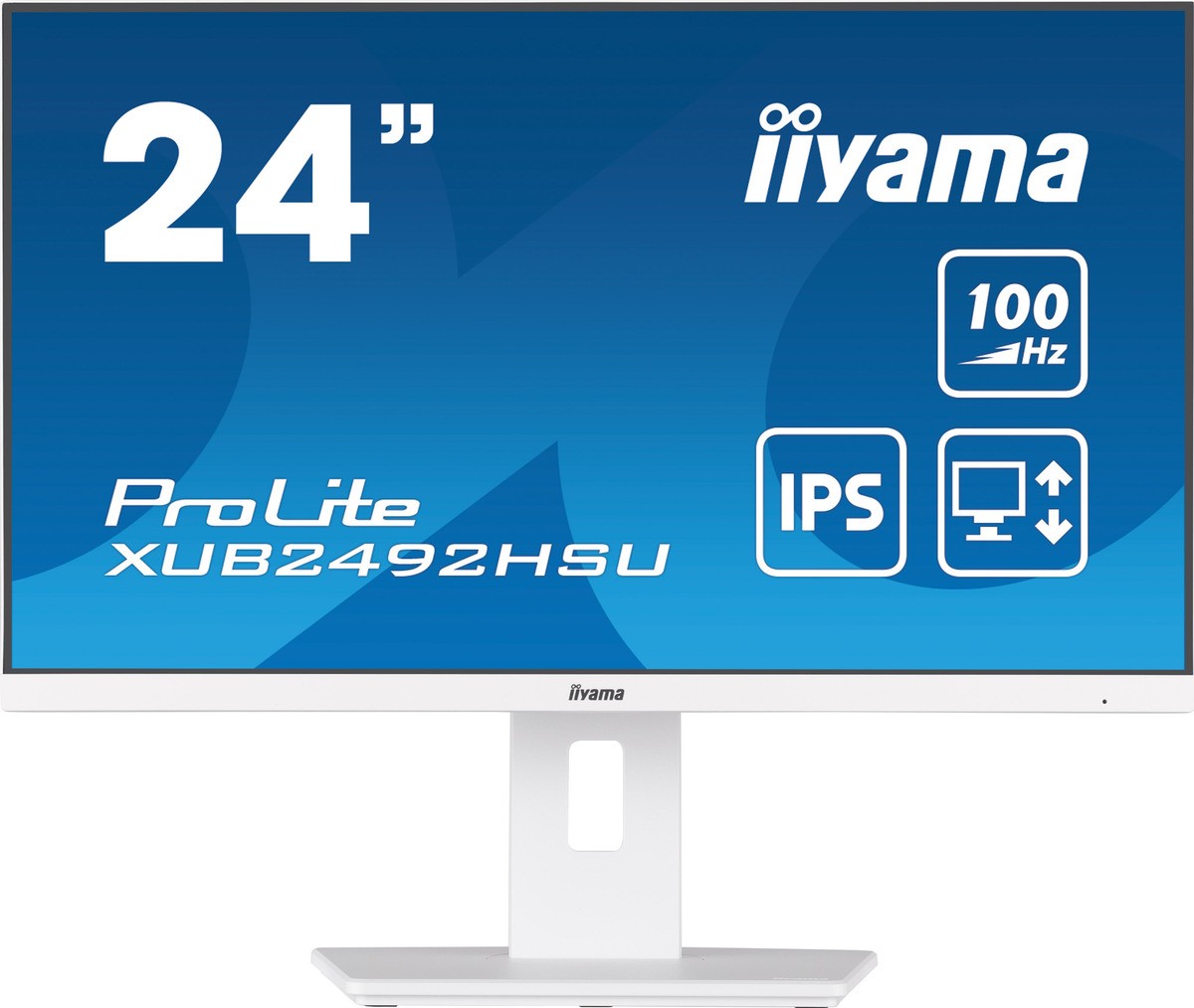 iiyama ProLite XUB2492HSU-W6