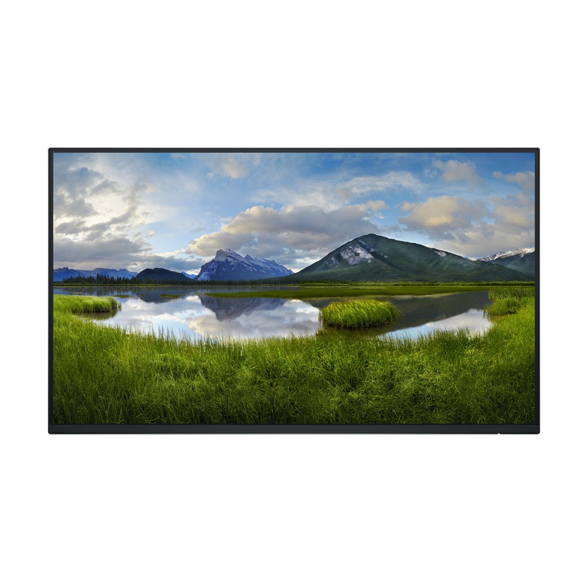 DELL P2425H WOST Office Monitor IPS, 61,13 cm (24,07 Zoll), LED, 1x HDMI, 1x DP, 1x VGA, USB-Hub