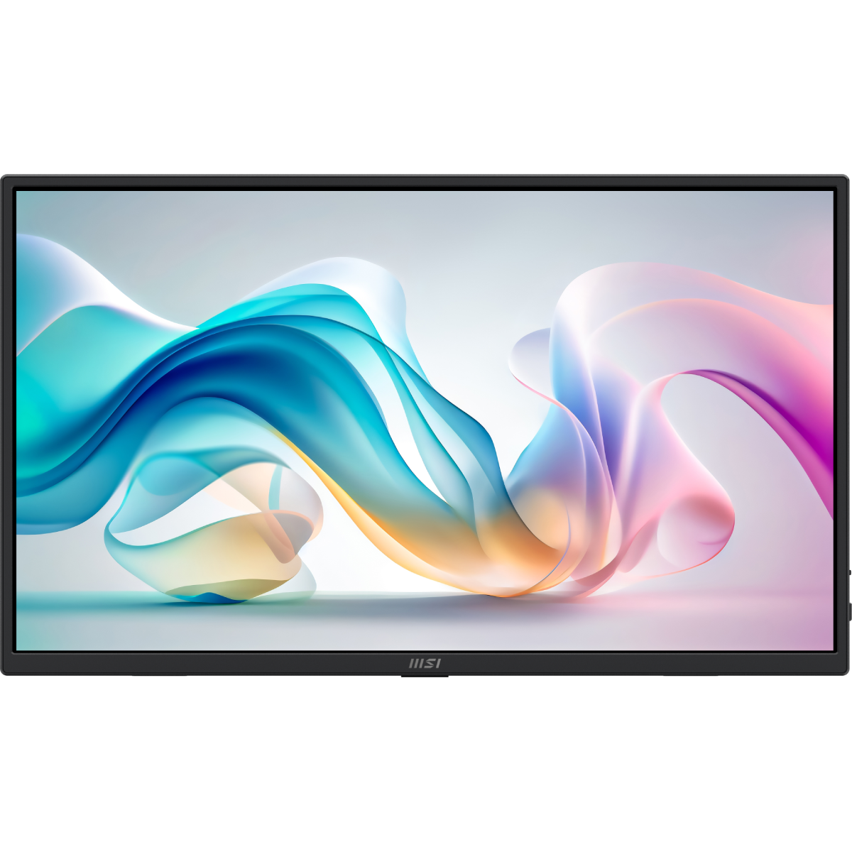 MSI PRO MP165DE E6 Tragbarer Monitor - 1920x1080 (FHD)