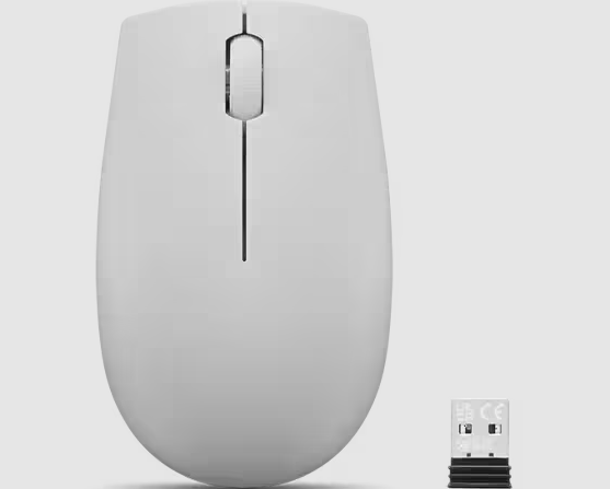 LENOVO 300 Kabellose Kompakte Maus, Arktis Grau