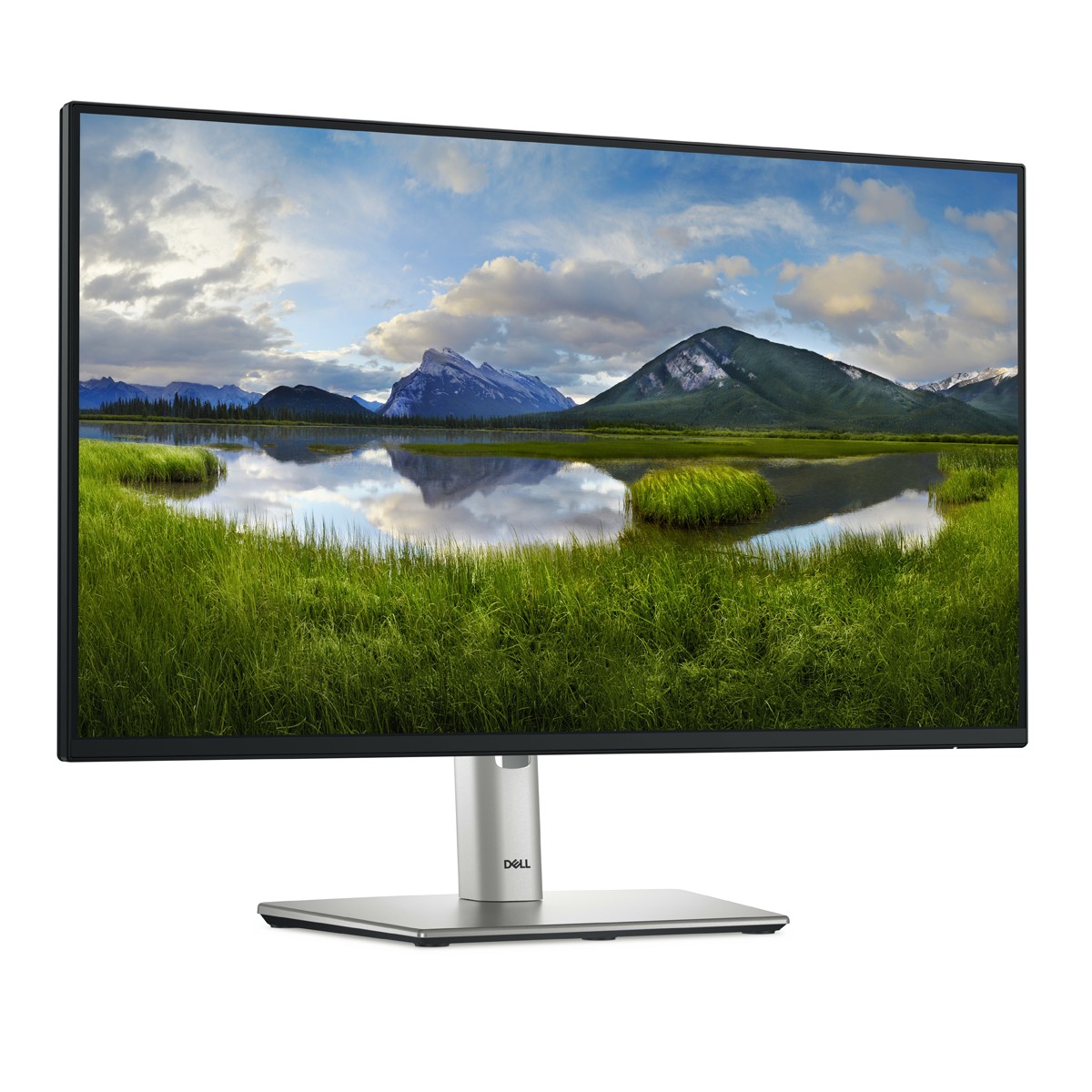 DELL P2425HE Office Monitor IPS-Panel, 61,13 cm (24,07 Zoll), LED, 1x HDMI, 2x DP, 1x LAN, USB-Hub