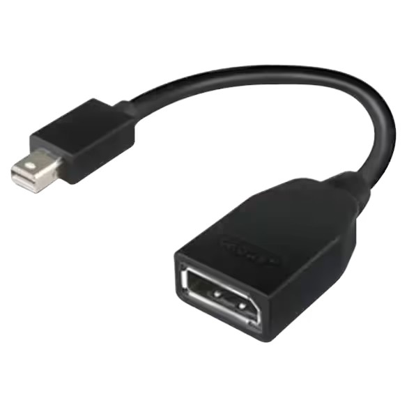 Lenovo Mini-DisplayPort (M) auf DisplayPort (F) | Adapter