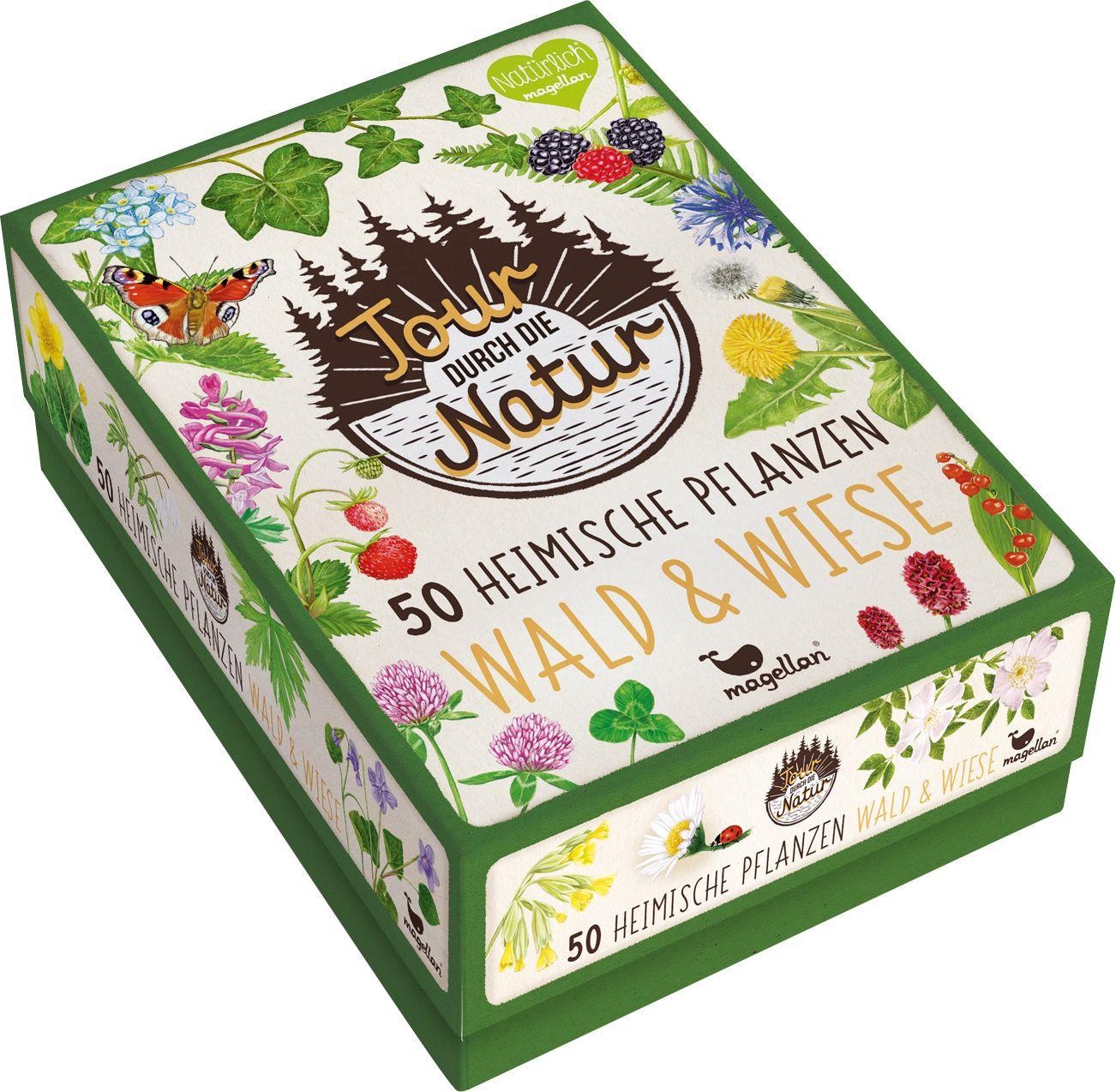 Tour durch die Natur- Heimische Pflanzen