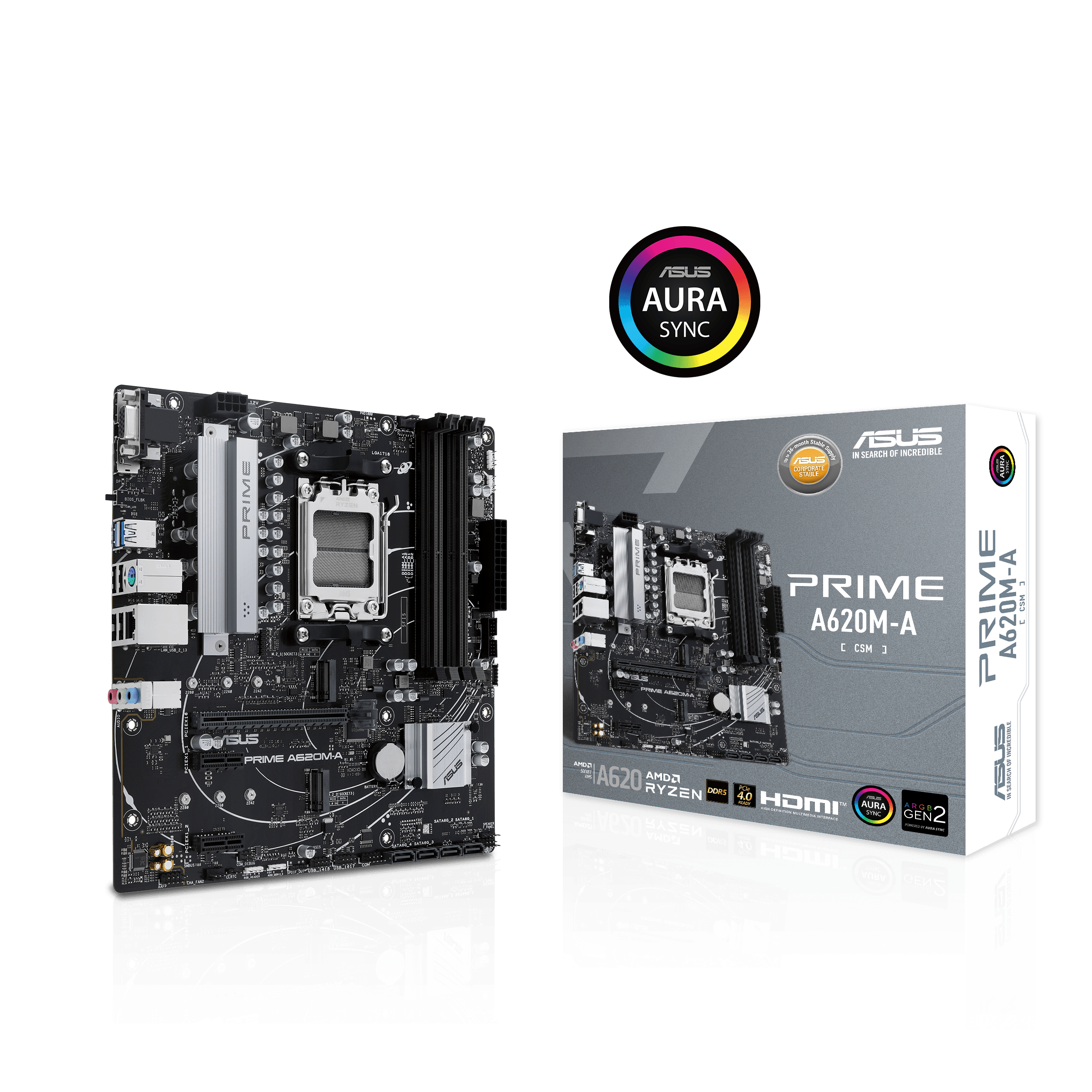ASUS Prime A620M-A-CSM